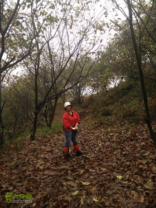 三渡溪-后渠-周坑-金坑-里岭脚-石湖坑-谏庄-石湖口环线IMG20151031101754