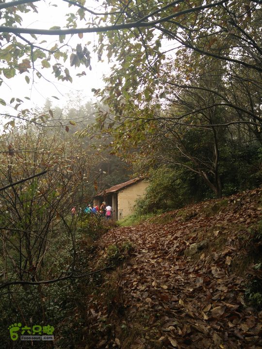 三渡溪-后渠-周坑-金坑-里岭脚-石湖坑-谏庄-石湖口环线IMG20151031101939