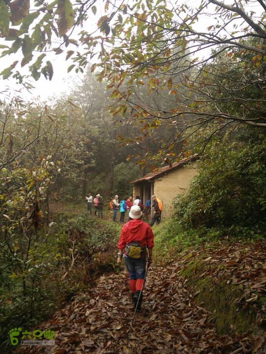 三渡溪-后渠-周坑-金坑-里岭脚-石湖坑-谏庄-石湖口环线IMG20151031102000