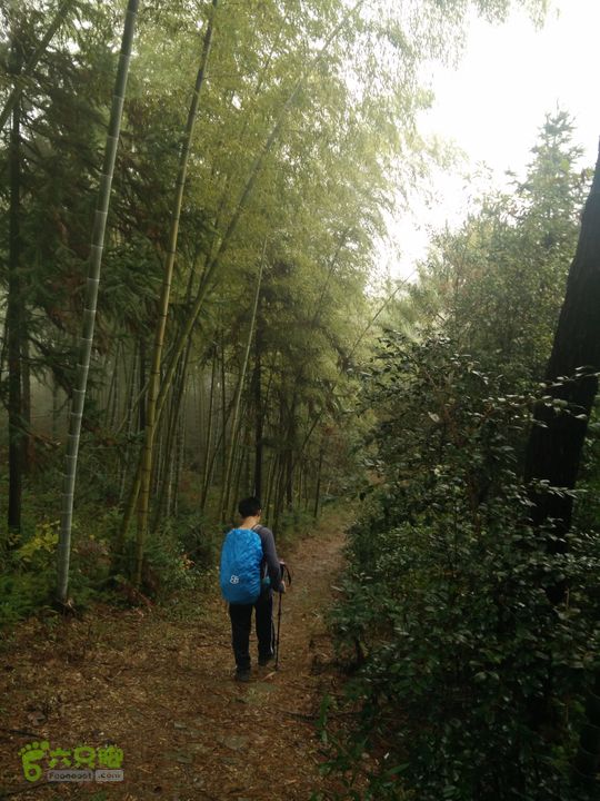 三渡溪-后渠-周坑-金坑-里岭脚-石湖坑-谏庄-石湖口环线IMG20151031104205