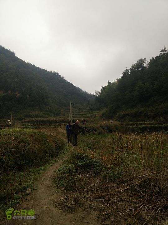 三渡溪-后渠-周坑-金坑-里岭脚-石湖坑-谏庄-石湖口环线IMG20151031105403