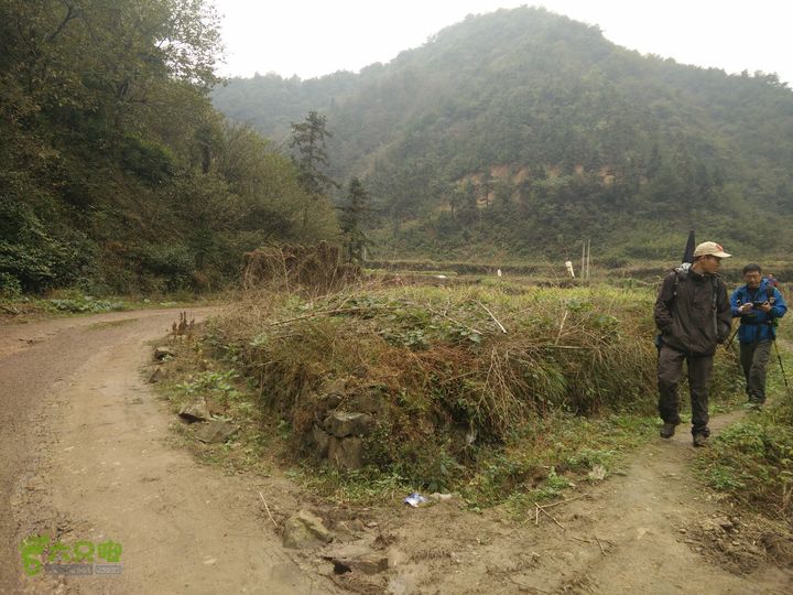 三渡溪-后渠-周坑-金坑-里岭脚-石湖坑-谏庄-石湖口环线IMG20151031105409