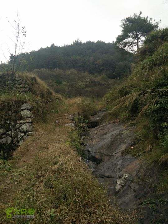 三渡溪-后渠-周坑-金坑-里岭脚-石湖坑-谏庄-石湖口环线越接近村子，路越好走