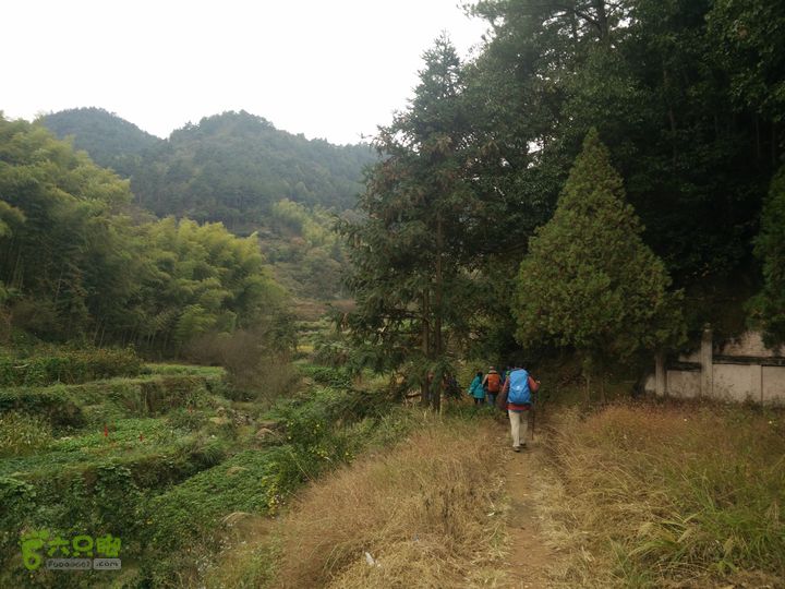 三渡溪-后渠-周坑-金坑-里岭脚-石湖坑-谏庄-石湖口环线IMG20151031134113