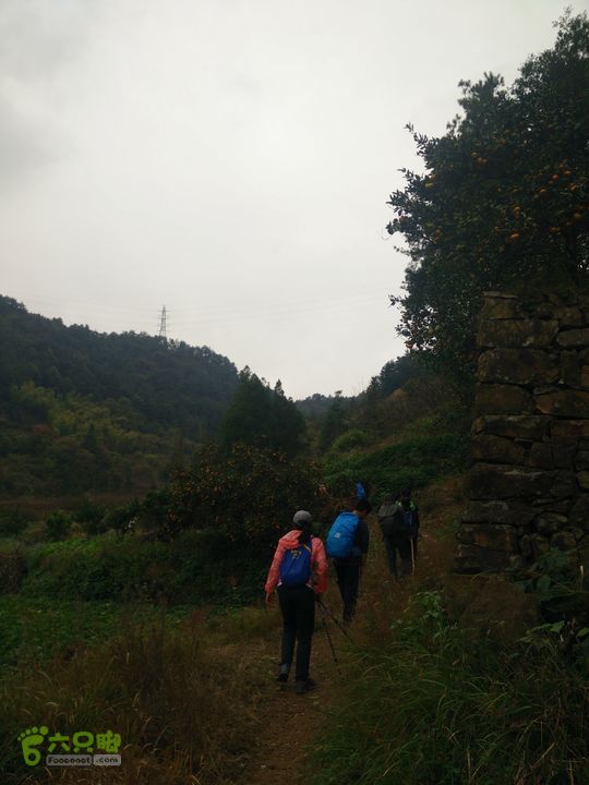 三渡溪-后渠-周坑-金坑-里岭脚-石湖坑-谏庄-石湖口环线IMG20151031134200