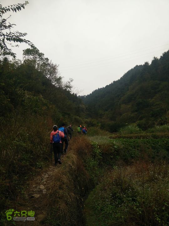 三渡溪-后渠-周坑-金坑-里岭脚-石湖坑-谏庄-石湖口环线IMG20151031134509