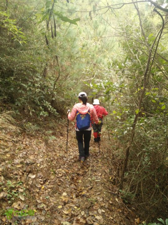 三渡溪-后渠-周坑-金坑-里岭脚-石湖坑-谏庄-石湖口环线IMG20151031142424