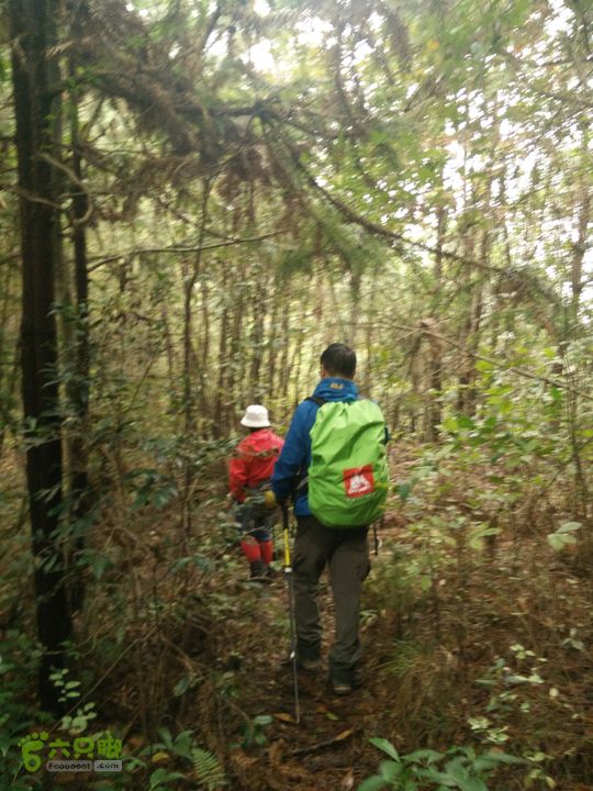 三渡溪-后渠-周坑-金坑-里岭脚-石湖坑-谏庄-石湖口环线山路很小，要小心的寻路前行