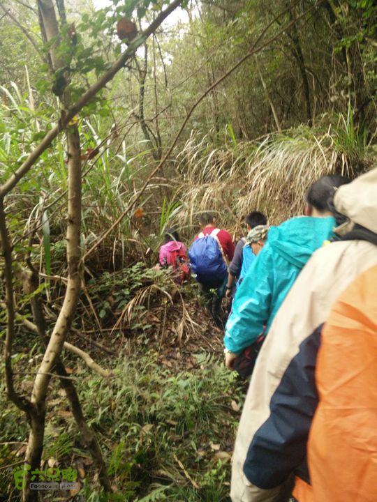 三渡溪-后渠-周坑-金坑-里岭脚-石湖坑-谏庄-石湖口环线大队人马小心通过