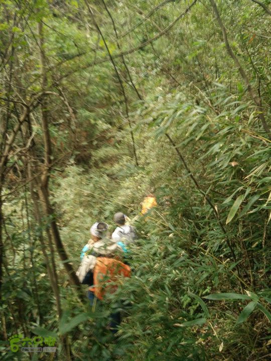三渡溪-后渠-周坑-金坑-里岭脚-石湖坑-谏庄-石湖口环线IMG20151031154709