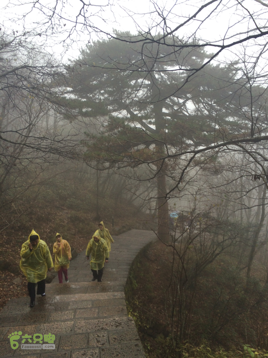 黄山：云谷寺－仙人指路－白鹅岭－黑虎松－始信峰－狮子峰－排云楼穿越2015-10-31 14:45:02