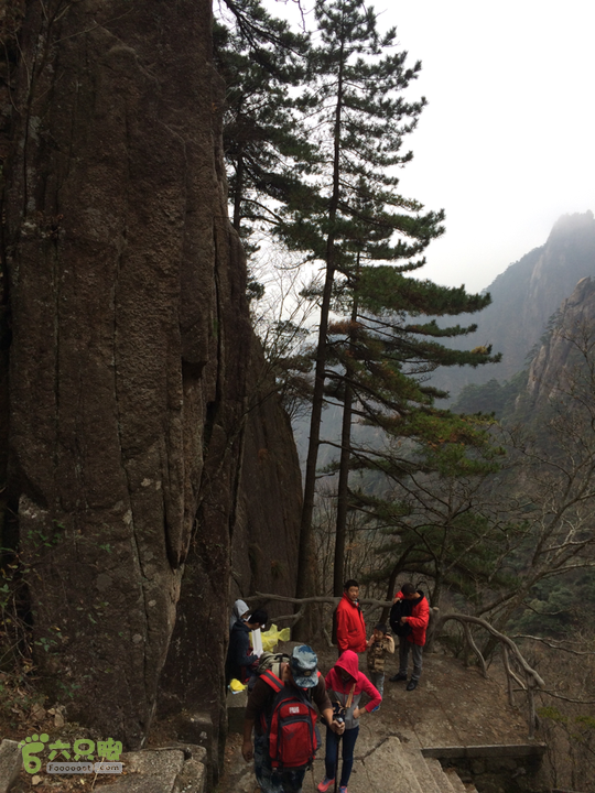 黄山：云谷寺－仙人指路－白鹅岭－黑虎松－始信峰－狮子峰－排云楼穿越2015-10-31 13:01:05