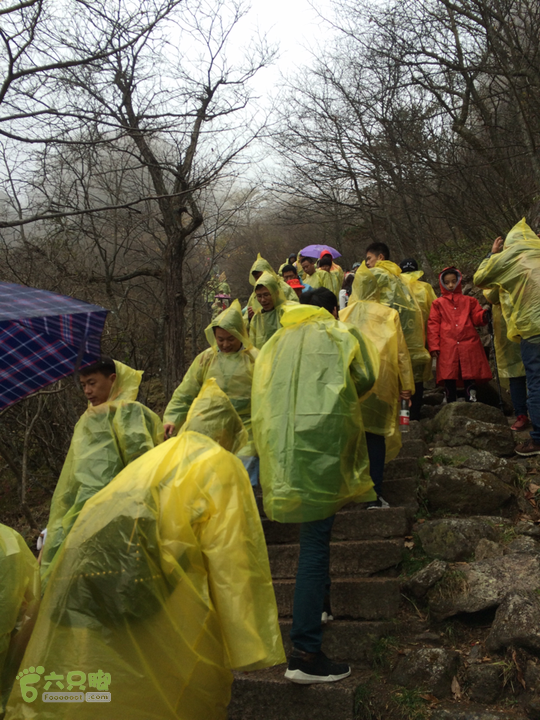 黄山：云谷寺－仙人指路－白鹅岭－黑虎松－始信峰－狮子峰－排云楼穿越2015-10-31 13:10:31