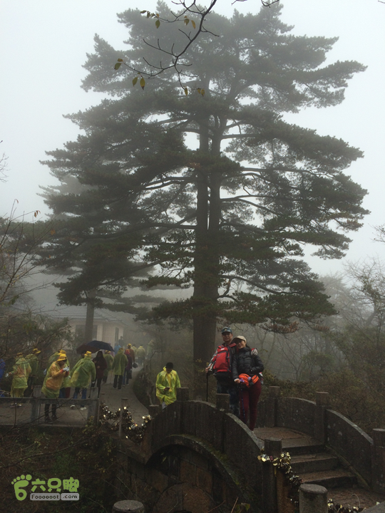 黄山：云谷寺－仙人指路－白鹅岭－黑虎松－始信峰－狮子峰－排云楼穿越2015-10-31 13:59:05