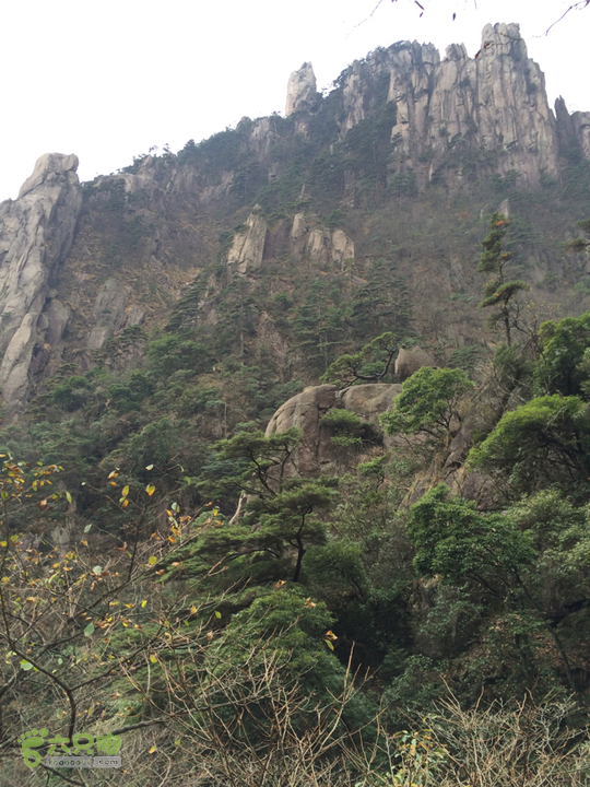黄山：云谷寺－仙人指路－白鹅岭－黑虎松－始信峰－狮子峰－排云楼穿越2015-10-31 12:33:39