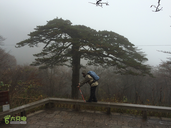 黄山：云谷寺－仙人指路－白鹅岭－黑虎松－始信峰－狮子峰－排云楼穿越2015-10-31 13:47:10