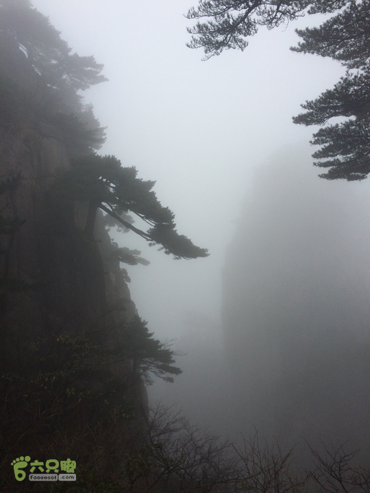 黄山：云谷寺－仙人指路－白鹅岭－黑虎松－始信峰－狮子峰－排云楼穿越2015-10-31 14:37:50