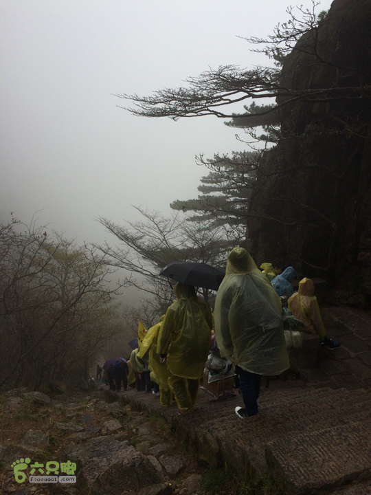 黄山：云谷寺－仙人指路－白鹅岭－黑虎松－始信峰－狮子峰－排云楼穿越2015-10-31 13:17:04