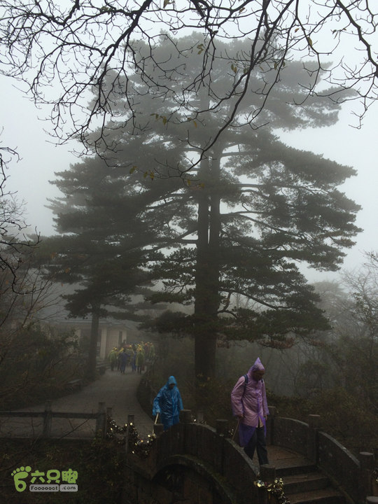 黄山：云谷寺－仙人指路－白鹅岭－黑虎松－始信峰－狮子峰－排云楼穿越2015-10-31 13:59:31