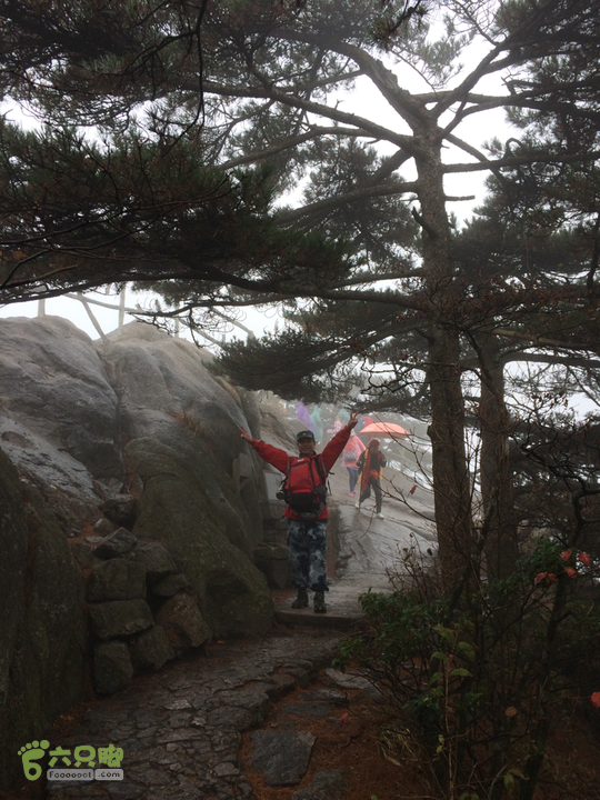 黄山：云谷寺－仙人指路－白鹅岭－黑虎松－始信峰－狮子峰－排云楼穿越2015-10-31 14:25:34