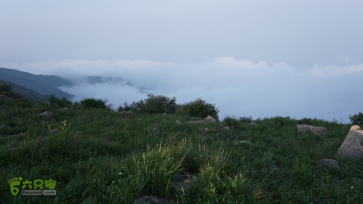 最后的大海坨IMG_2762 (1)