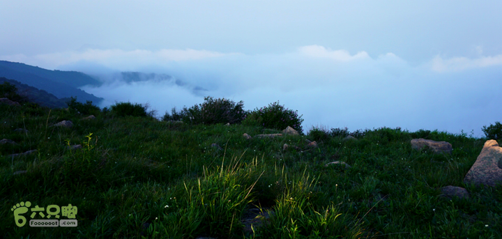 最后的大海坨IMG_2796 (1)