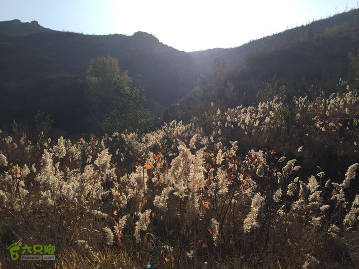 太原东山五龙城郊森林公园登山步道（完整）IMG_8676