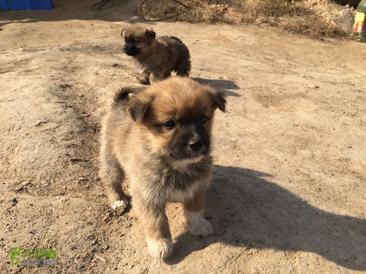 太原东山五龙城郊森林公园登山步道（完整）IMG_8706