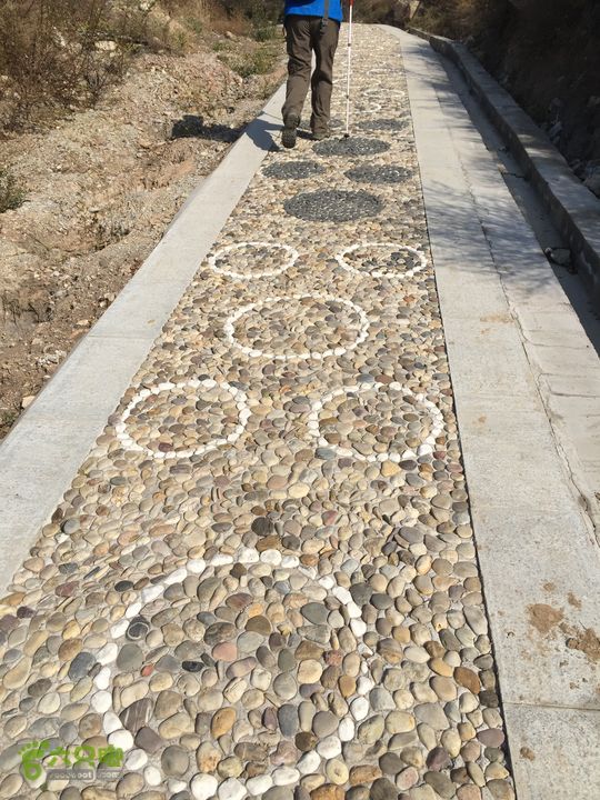 太原东山五龙城郊森林公园登山步道（完整）IMG_8714