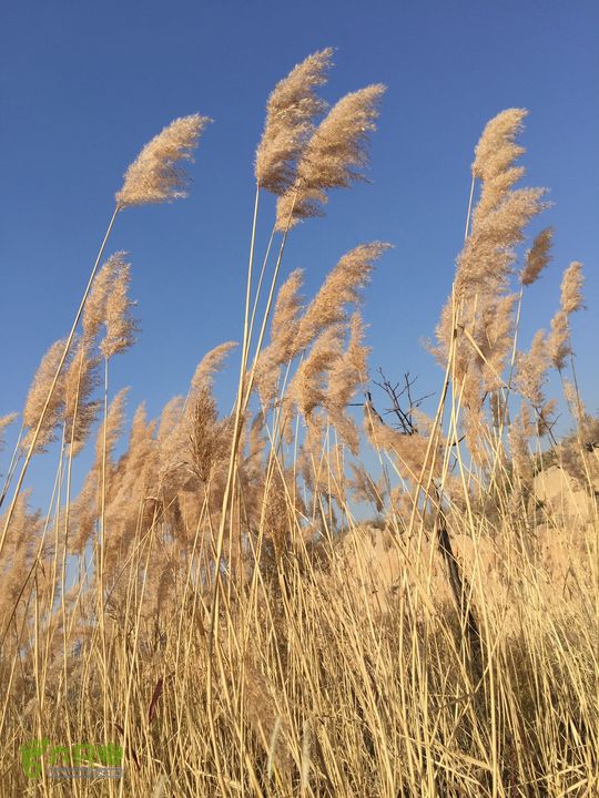 太原东山五龙城郊森林公园登山步道（完整）IMG_8722