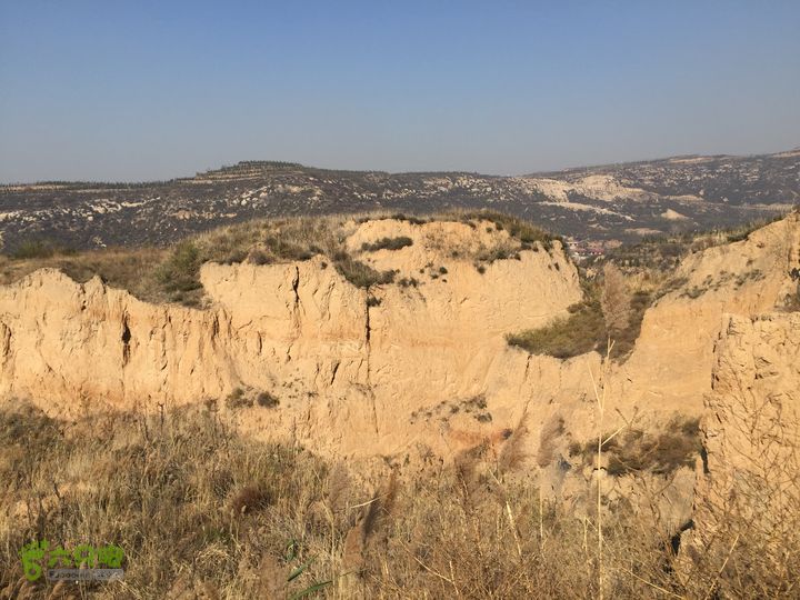 太原东山五龙城郊森林公园登山步道（完整）IMG_8723