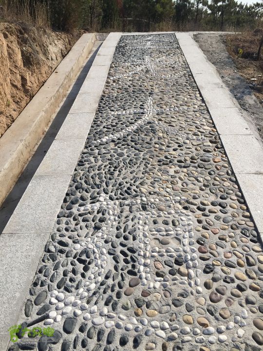 太原东山五龙城郊森林公园登山步道（完整）IMG_8756