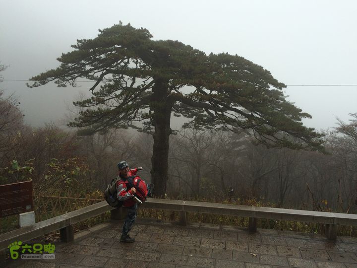 黄山：云谷寺－仙人指路－白鹅岭－黑虎松－始信峰－狮子峰－排云楼穿越IMG_2126