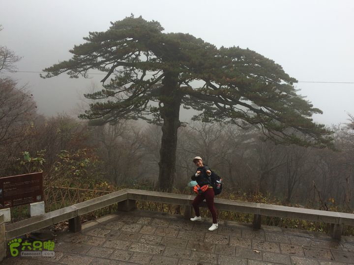 黄山：云谷寺－仙人指路－白鹅岭－黑虎松－始信峰－狮子峰－排云楼穿越IMG_2128