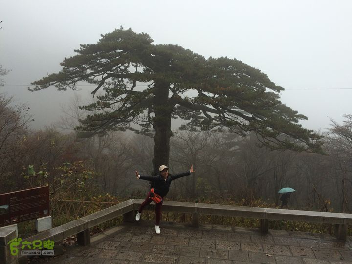 黄山：云谷寺－仙人指路－白鹅岭－黑虎松－始信峰－狮子峰－排云楼穿越IMG_2130