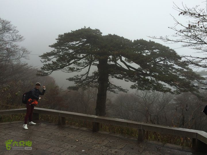 黄山：云谷寺－仙人指路－白鹅岭－黑虎松－始信峰－狮子峰－排云楼穿越IMG_2131