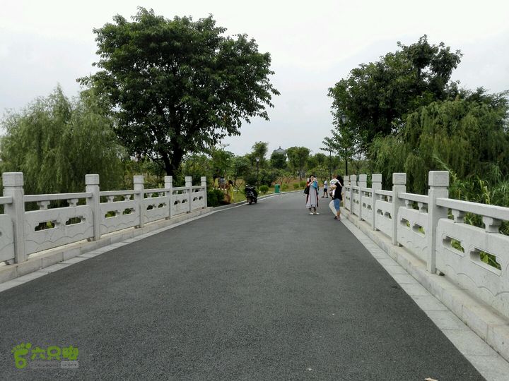 麻涌探路3香蕉展览馆出来回拍