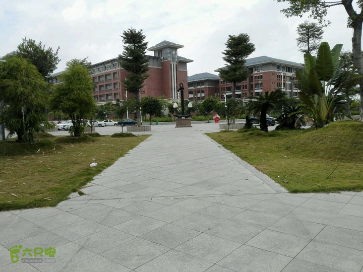 麻涌探路3河道与公路间的小广场，照片右侧不远有家餐馆