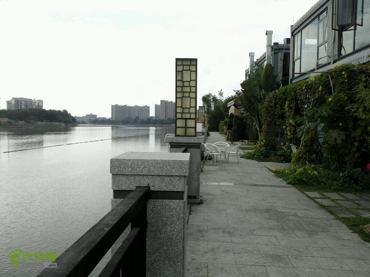 麻涌探路3沿河前方