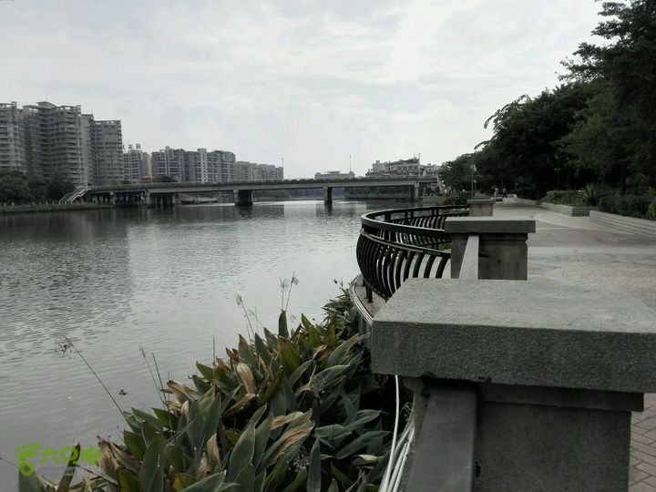 麻涌探路3前方麻涌大桥