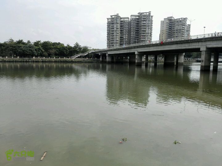 麻涌探路3麻涌大桥