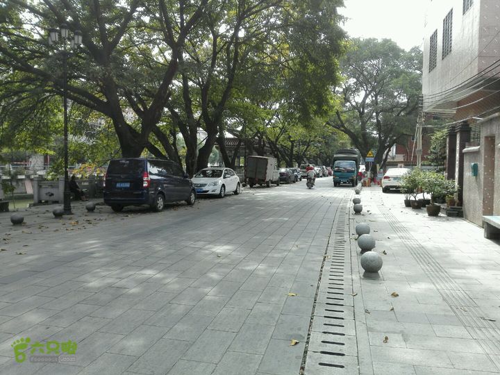 麻涌探路3村内道路