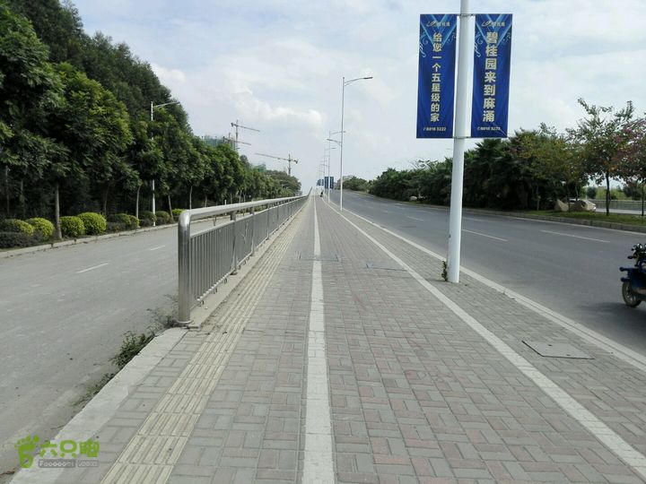 麻涌探路3上桥
