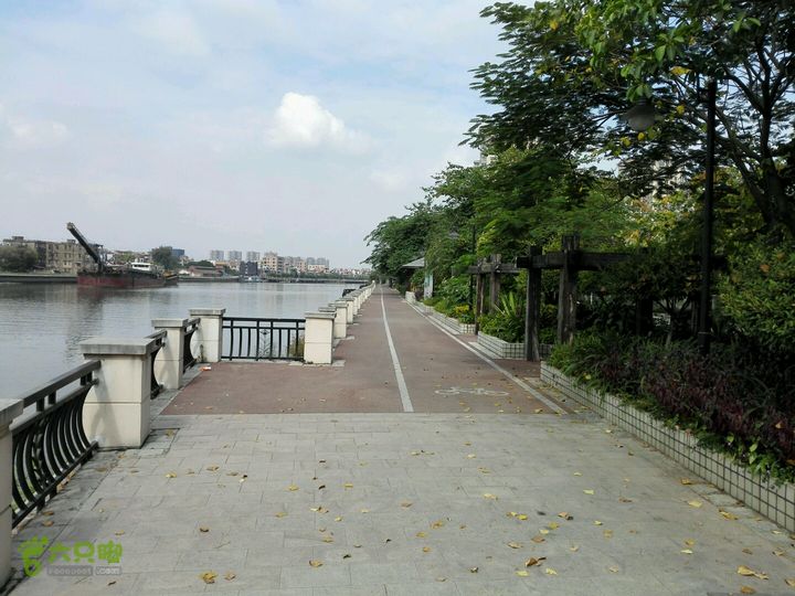 麻涌探路3河边另外一侧绿道