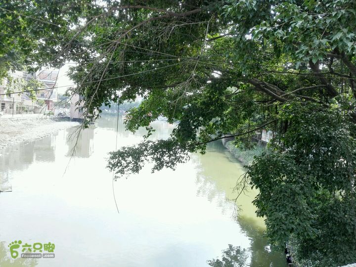 麻涌探路32015-11-08 13:39:16