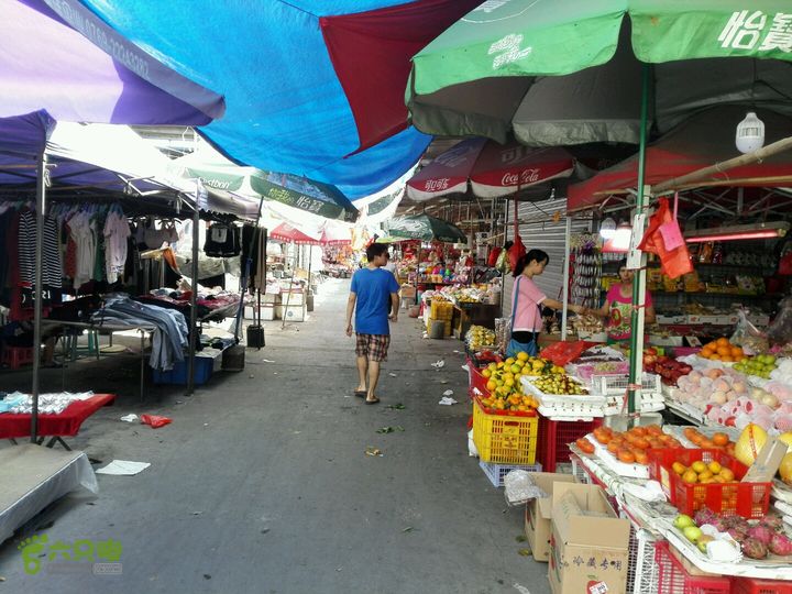 麻涌探路3前往沿河