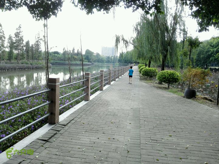 麻涌探路3沿河前方