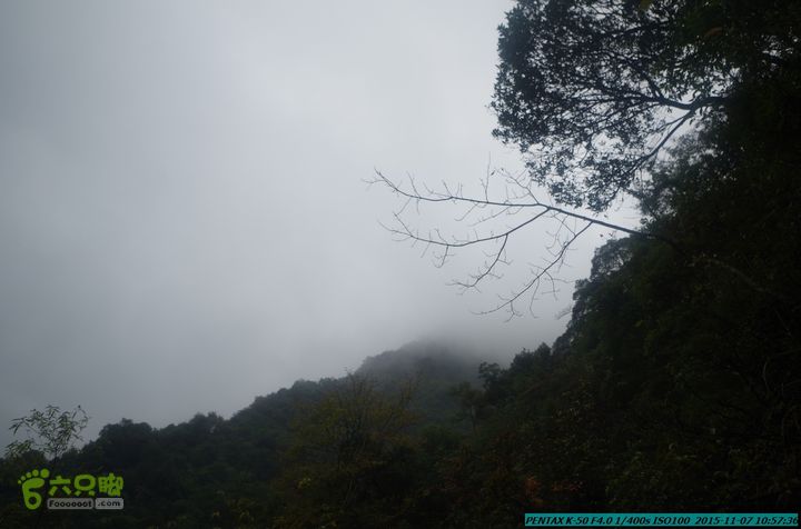 20151107(驴先锋)-东灵峡谷IMGP0011