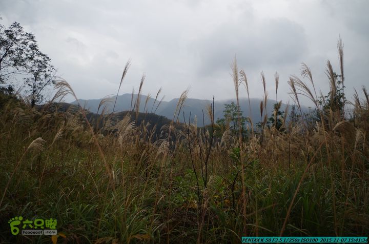 20151107(驴先锋)-东灵峡谷IMGP0106