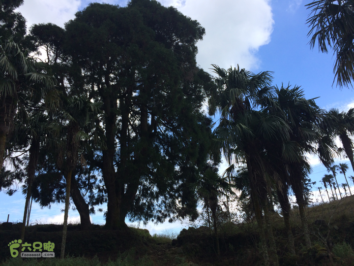 福清市一都镇后溪村－过溪－永泰县斗湖天池－后溪村圈越2015-11-08 12:51:22